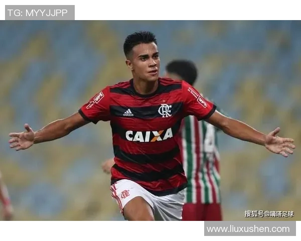 弗拉门戈对希拉尔比赛分析与推荐策略分享