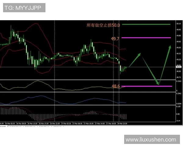 菲律宾与泰国东南直播精彩对决全程回顾与分析