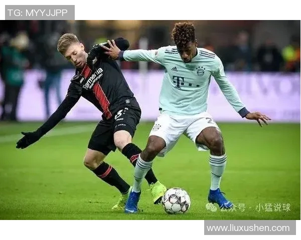 勒沃库森主场力克奥格斯堡升至德甲积分榜前列